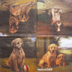 Hund 1-1 AVEC