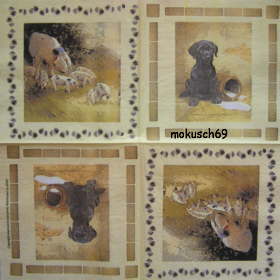 Hund 2-12 Avec