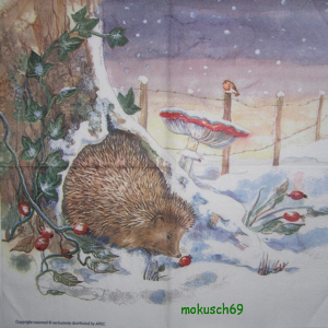 Igel Avec