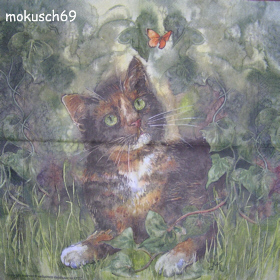 Katze mit Schmetterling Avec