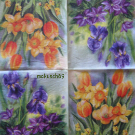 Tulpen und Iris Avec