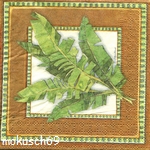 Blatt 41 CT