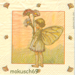 Flower Fairies
