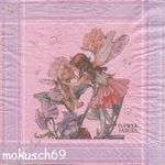 Flower Fairies 4-14