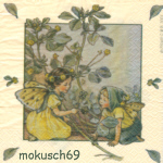 Flower Fairies 4-4