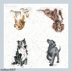 Hund 1-147