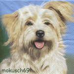 Hund 4-332