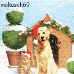 Hund 4-587