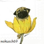 Hund 4-594