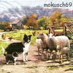 Hund 4-617
