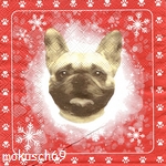 Hund 4-623 d CT