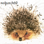 Igel 4-97