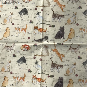 Katze 1-88