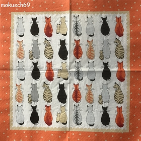 Katze 1-89