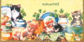 Katze 2-10 a
