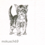 cat/chat