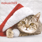 Katze 4-277