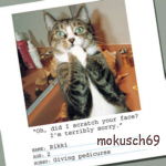 Katze 4-126 CT