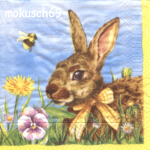 Hase 94