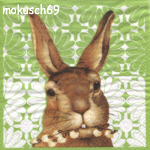 Hase 97