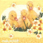 Huhn 71