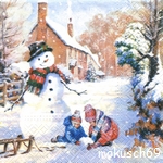 Schnee 4-626