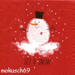 Schnee 4-802