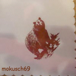 Suche Bär 191