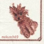 Suche Hund 27