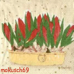 Suche Mona Svrd 3