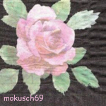 Suche Rose 36