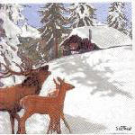 Suche Winter 6