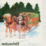 Suche Winter 50