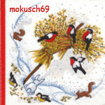 Suche Winter 64