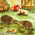 Suche Igel 5