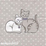 Suche Katze 106