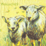 Sheep