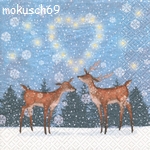 Winter 4-377